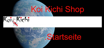 Internet-Shop